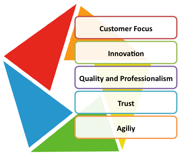 Our Values Graphic